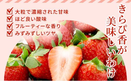 いちご キラっと輝くいちご きらぴ香 6箱 12パック 果物 イチゴ 苺 国産 ギフト 贈答品 お祝い プレゼント フルーツ くだもの