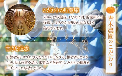 【2025年1月中旬より順次発送】青木農園 青島みかん 5kg【配送不可：離島】