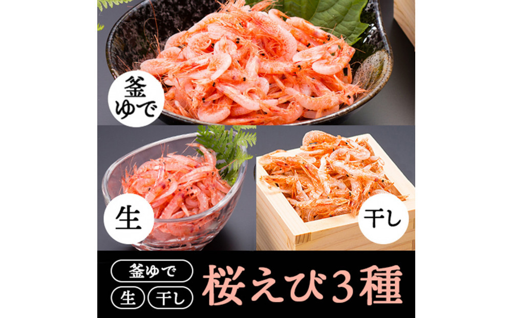 桜えび3種セット【配送不可：離島】