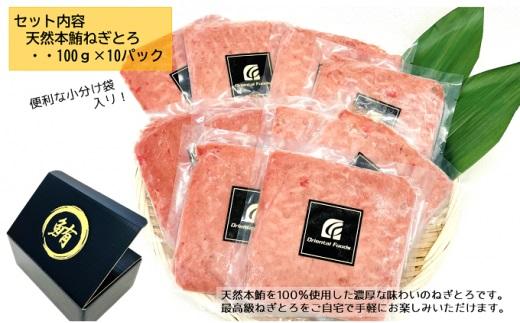 天然本鮪 ねぎとろ 計1kg：100g 10パックセット【静岡市清水】冷凍  マグロ  たたき ネギトロ丼 手巻き寿司 小分け 即席 海の幸 【配送不可：離島】