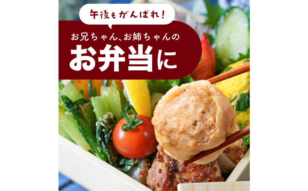 ジャンボ焼売 90個(10個入×9袋)
