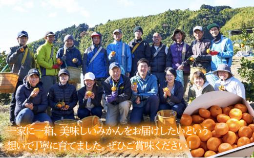 【2025年1月中旬より順次発送】青木農園 青島みかん 10kg【配送不可：離島】