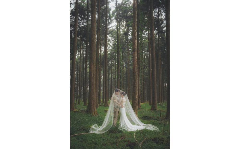 森ã®äžã®ãŠã§ãã£ã³ã°ãã©ã