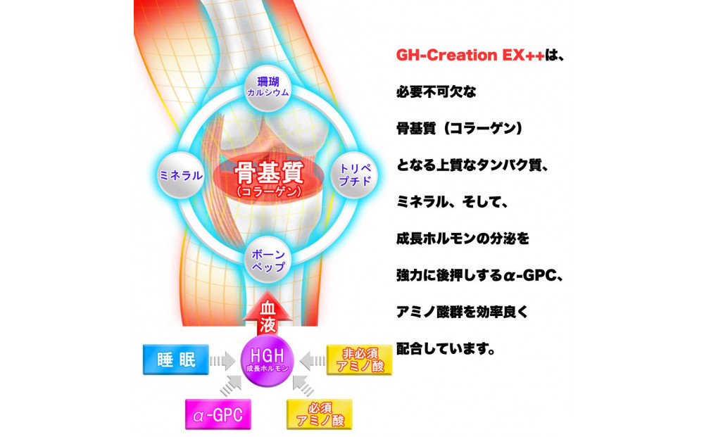 6本セット：GH-Creation EX++ ジーエイチ クリエーション EX プラス 300mg 270粒