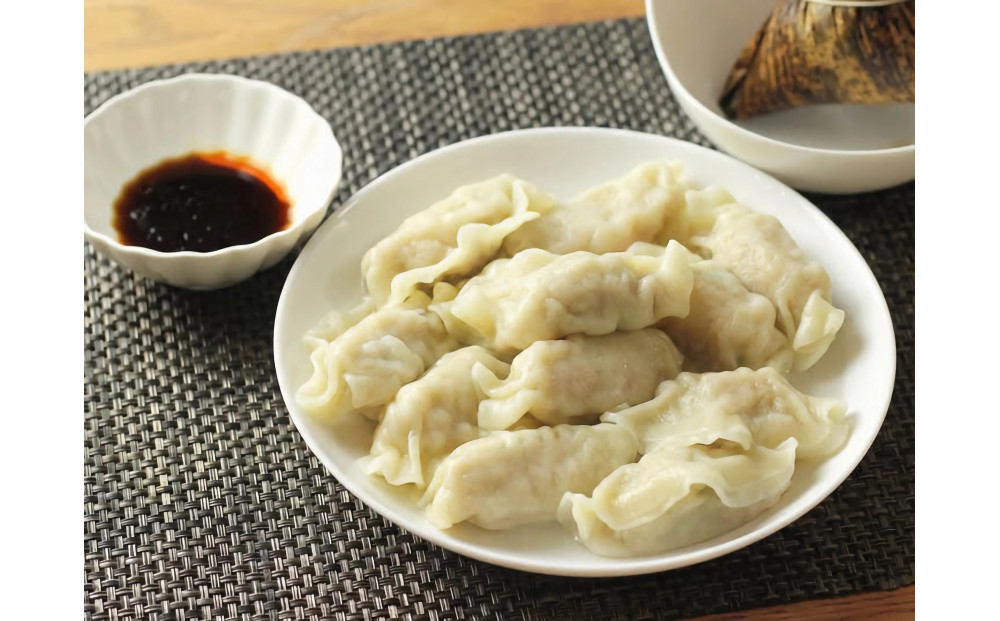 【台湾味】台湾水餃子 4種食べ比べセット（海老・ニラ・肉・コーン）計48個