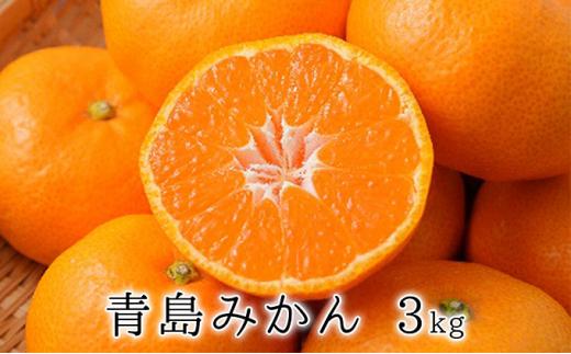 【2025年1月中旬より順次発送】甘さと酸味がマッチ　青島みかん3kg 5,000円