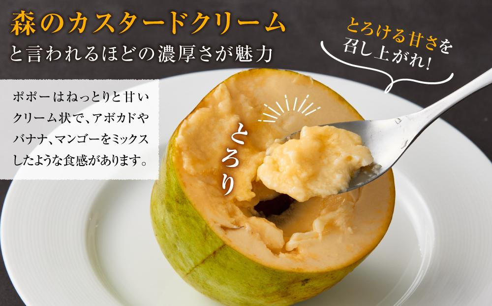 【2026年9月中旬頃より発送 受付締切9月20日】ポポー 約1kg【受取日事前打合せ可能な方限定】【配送不可：離島】幻の果実 レア フルーツ ポポー 健康 美容 美肌 ファーム池の沢 静岡市◇