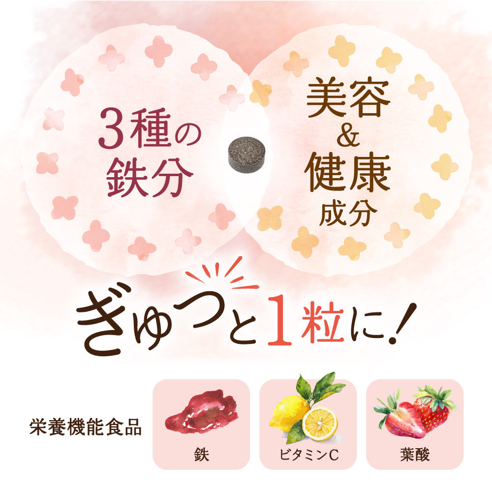 鉄分 サプリ ルミエル 鉄 10mg フェリチン鉄 ヘム鉄 葉酸 栄養機能食品 3袋（3ヶ月分）