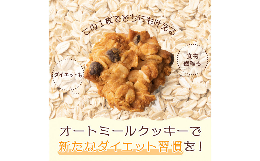 オートミールクッキー チョコバナナ 1kg(100g×10袋)