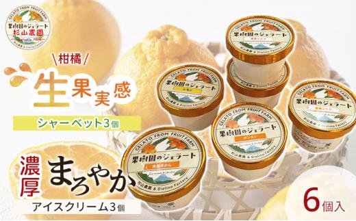 果樹園のジェラート 柑橘食べ比べ6個セット 100ml×6個 冷凍 ギフト アイスクリーム シャーベット