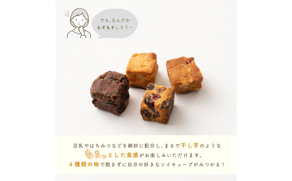 ソイキューブ チョコくるみ 600g(100g×6袋)