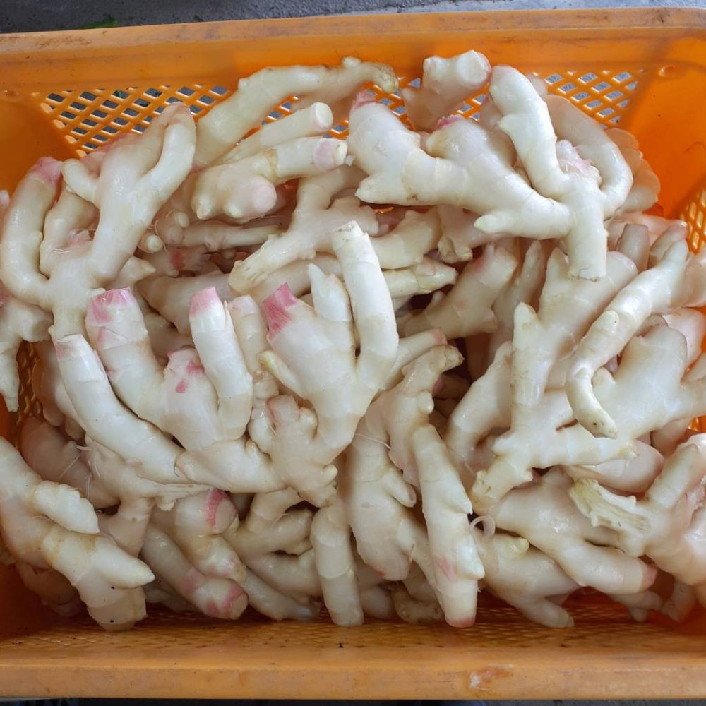 旬のお野菜詰め合わせセット【配送不可：北海道・沖縄・離島（一部除く）・島しょ部】◇