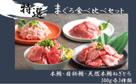 まぐろ食べ比べセット 計900g (300g 3種)：本鮪切落し300ｇ メバチ鮪切落し300ｇ 天然本鮪ねぎとろ300ｇ【静岡市清水】冷凍  マグロ  たたき ネギトロ丼 手巻き寿司 小分け 即席 海の幸 【配送不可：離島】