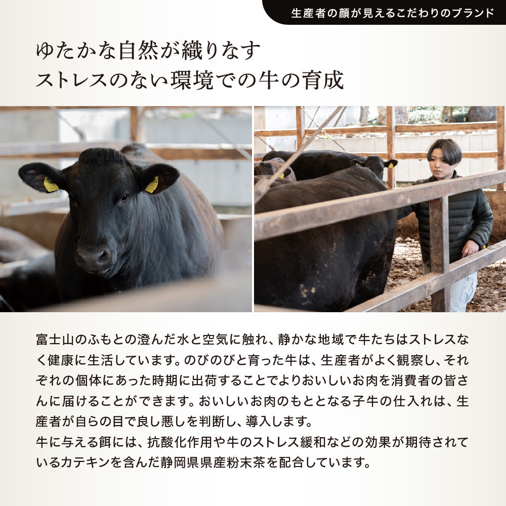 WAGYU DIAMOND FUJI ヒレ ステーキ 250g【配送不可：離島】