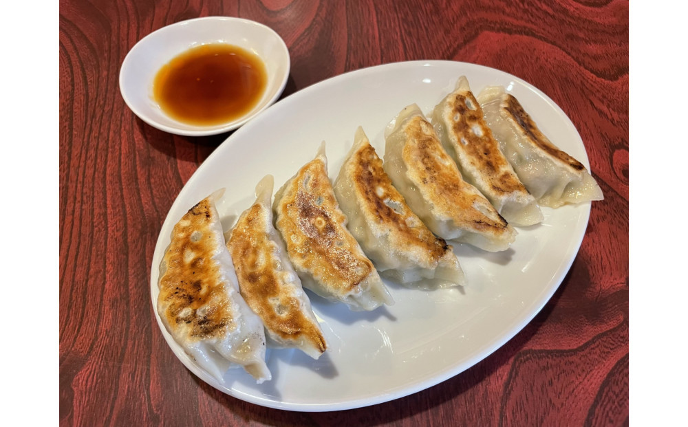 野菜餃子 45個【配送不可：沖縄県・離島】