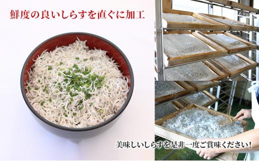 用宗港直送釜揚げしらす（280g×2パック） シラス 釜揚 釜揚げ パック 新鮮 冷蔵