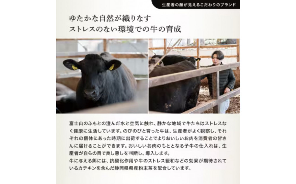 龍馬1865＋WAGYU DIAMOND FUJI ローススライス300g×5【配送不可：沖縄県・離島】