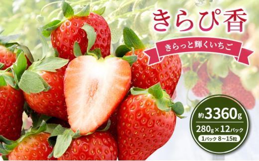 いちご キラっと輝くいちご きらぴ香 6箱 12パック 果物 イチゴ 苺 国産 ギフト 贈答品 お祝い プレゼント フルーツ くだもの