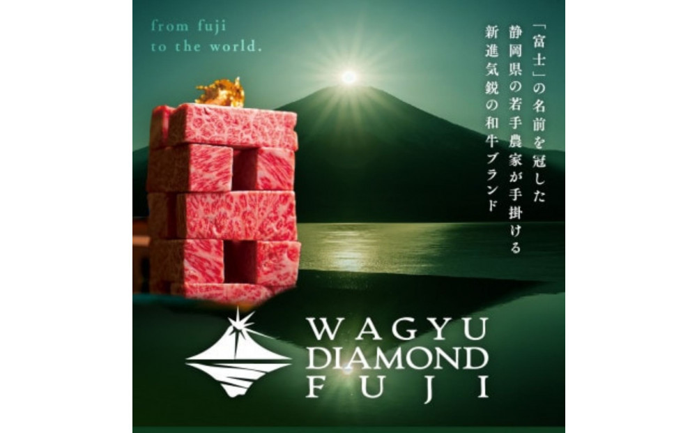 龍馬1865＋WAGYU DIAMOND FUJI モモ(赤身)ステーキ 300g×2【配送不可：沖縄県・離島】