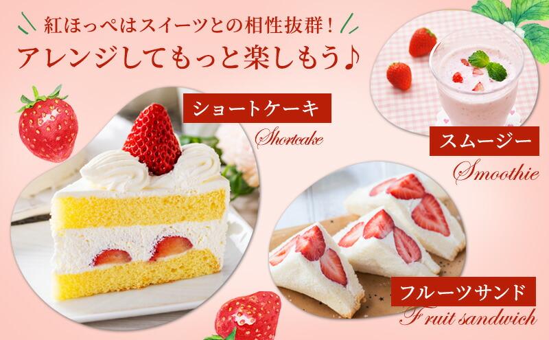 いちご ほっぺたが落ちる 紅ほっぺ  12パック 果物 イチゴ 苺 国産 ギフト 贈答品 お祝い プレゼント フルーツ くだもの