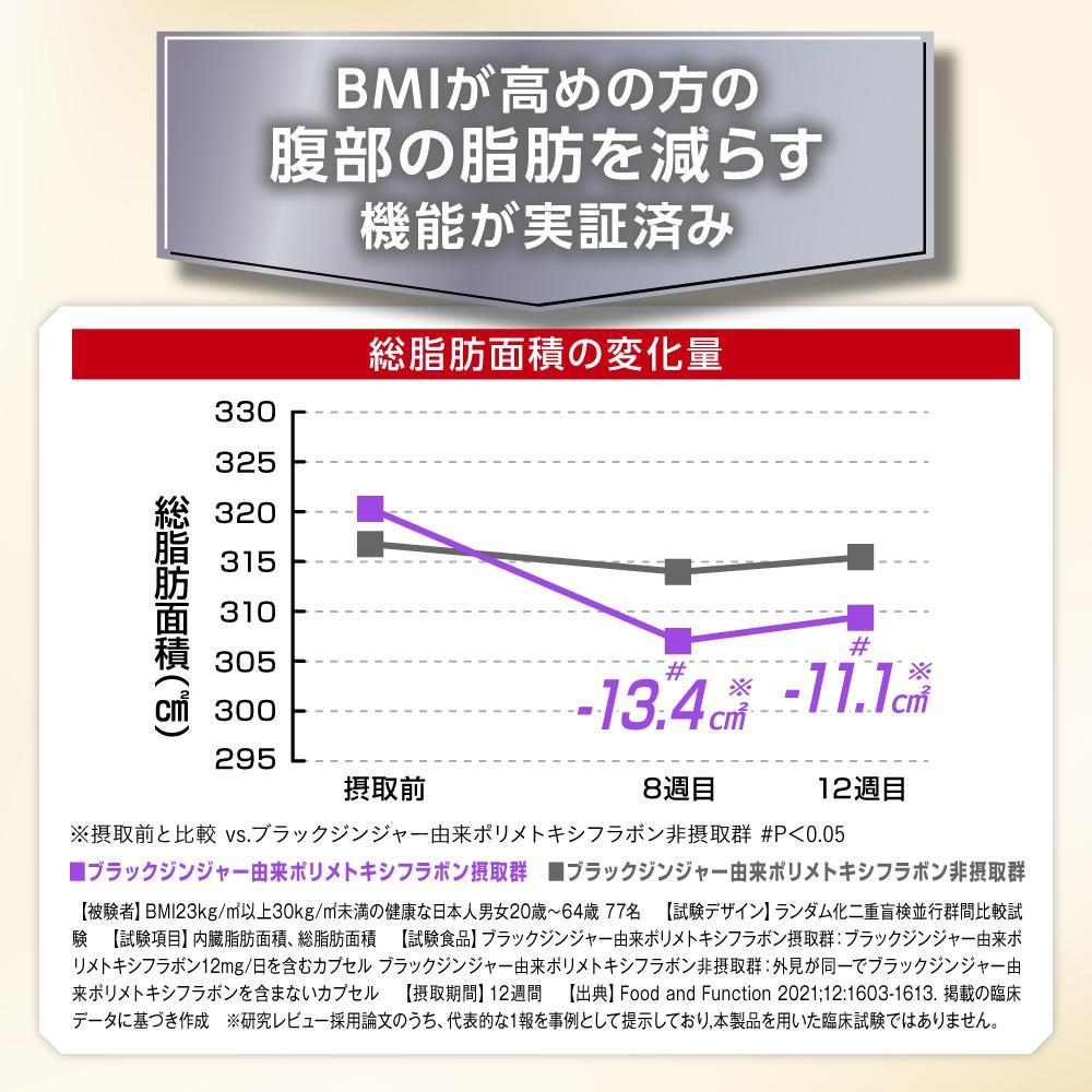 ブラックジンジャー サプリメント フラムジンジャー 機能性表示食品 6袋セット