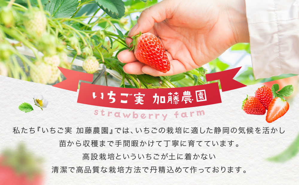 ãå·åã ãã¡ãã¹ã ãŒãžãŒïŒçŽ
ã»ã£ãºïŒ300gÃ6å èº ãã«ãŒãâ