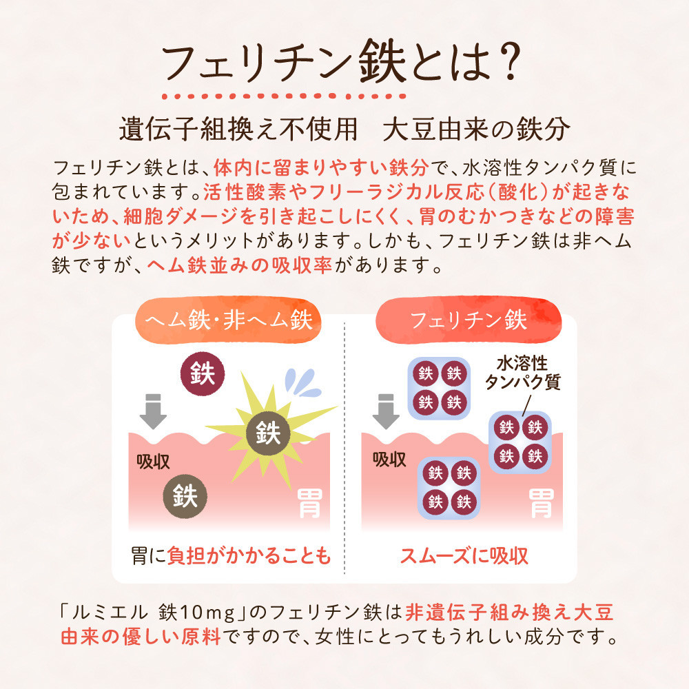 鉄分 サプリ ルミエル 鉄 10mg フェリチン鉄 ヘム鉄 葉酸 栄養機能食品 30粒入り 30日分