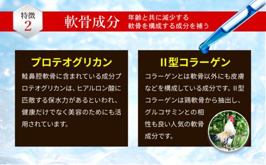 アミノグルコGOLD EX 30日分 グルコサミン プロテオグリカン II型コラーゲン イミダゾールペプチド エラスチン サプリメント