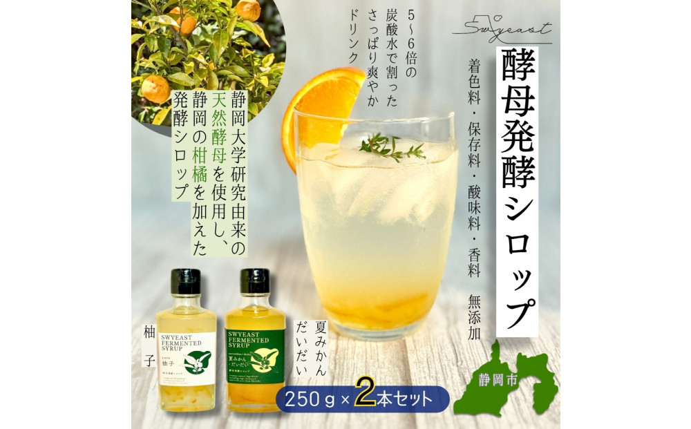 大学研究の天然酵母使用 お酒でもジュースでもない新感覚発酵シロップ　250ｇｘ2本