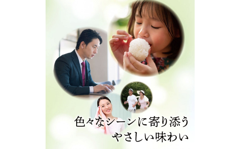 麦茶　500ml　計96本　ペットボトル（500ml×24本×4箱セット）ミツウロコビバレッジ 　お茶　まとめ買い　乳化剤不使用【配送不可：沖縄県・離島】