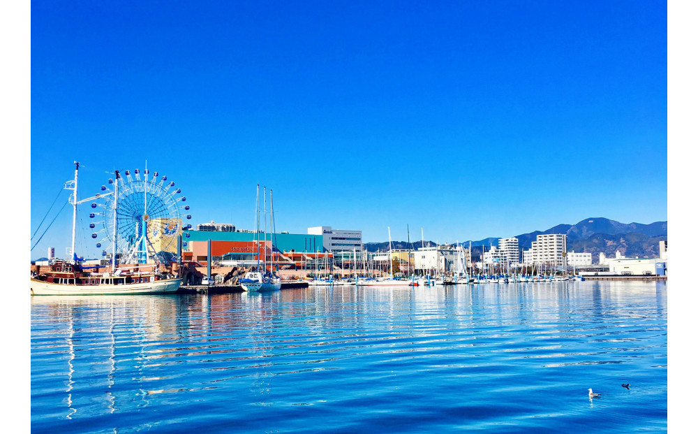 【オーシャンプリンセス号貸切】60分間