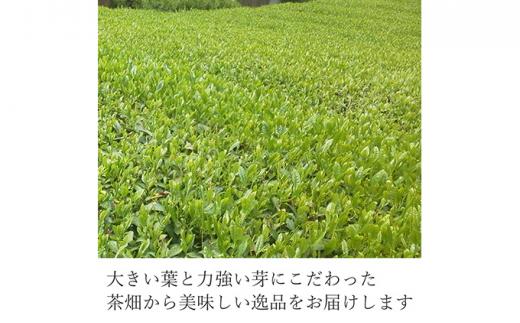 静岡 本山茶 1缶175g（特製木箱入り）