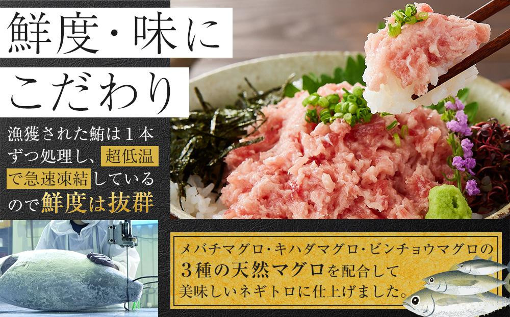 【2ヵ月ごと定期便／全3回】天然まぐろのネギトロ 1.5kg 100g×15パック 魚 ねぎとろ ごはんのお供 丼 小分け 冷凍 海の幸 ◆