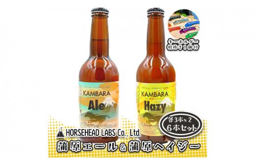 蒲原エール 3本 & 蒲原へイジー3本 計6本セット (キーホルダー栓抜き付き) HORSEHEAD LABS クラフトビール ご当地ビール 地ビール お酒 ビール