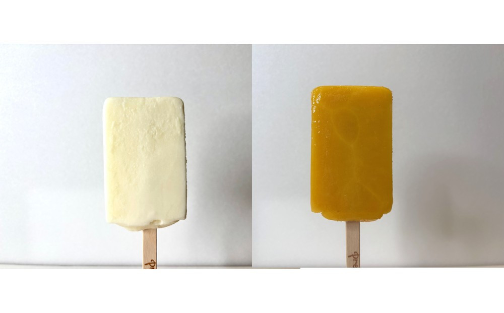 ジェラートコンテストで世界一を取ったシェフが本気で作ったイタリアンアイスバー１０本入り