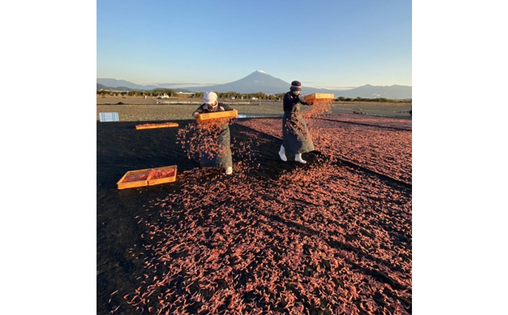 譯懊∴縺ウ3遞ョ繧サ繝繝医宣埼∽ク榊庄シ夐屬蟲カ縲