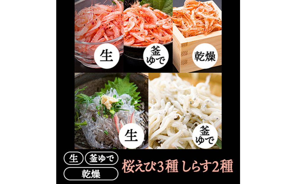 桜えび３種、しらす２種セット【配送不可：離島】