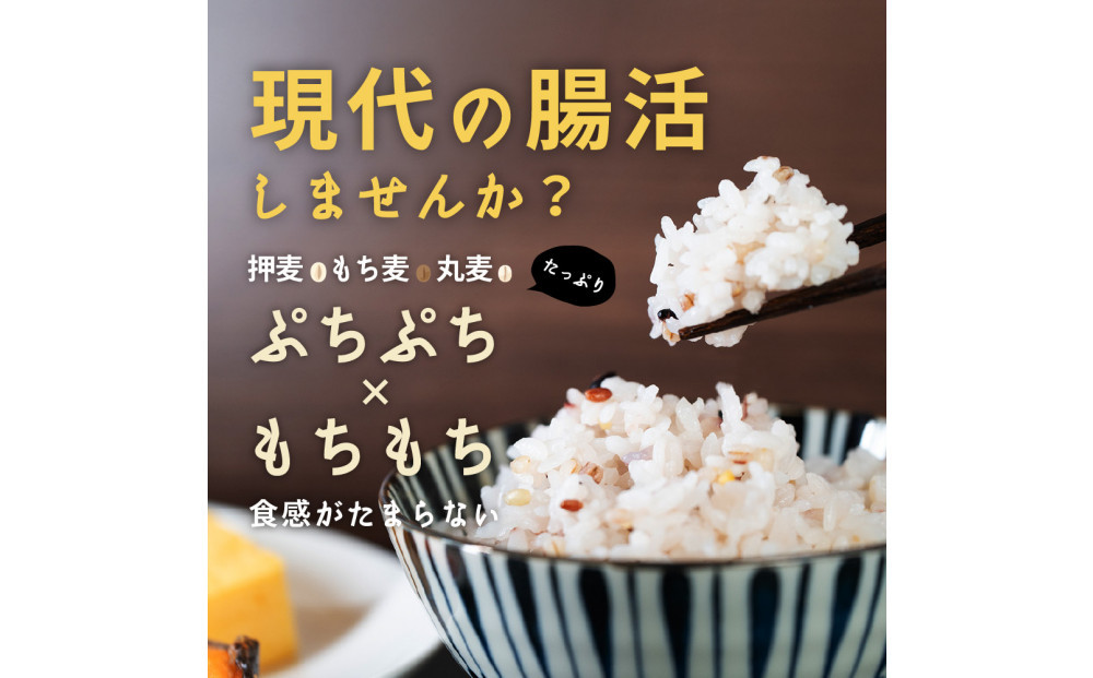 éºŠã®æµã¿24ç©ç±³ãã¬ã³ã 8kg(800gÃ10è¢)