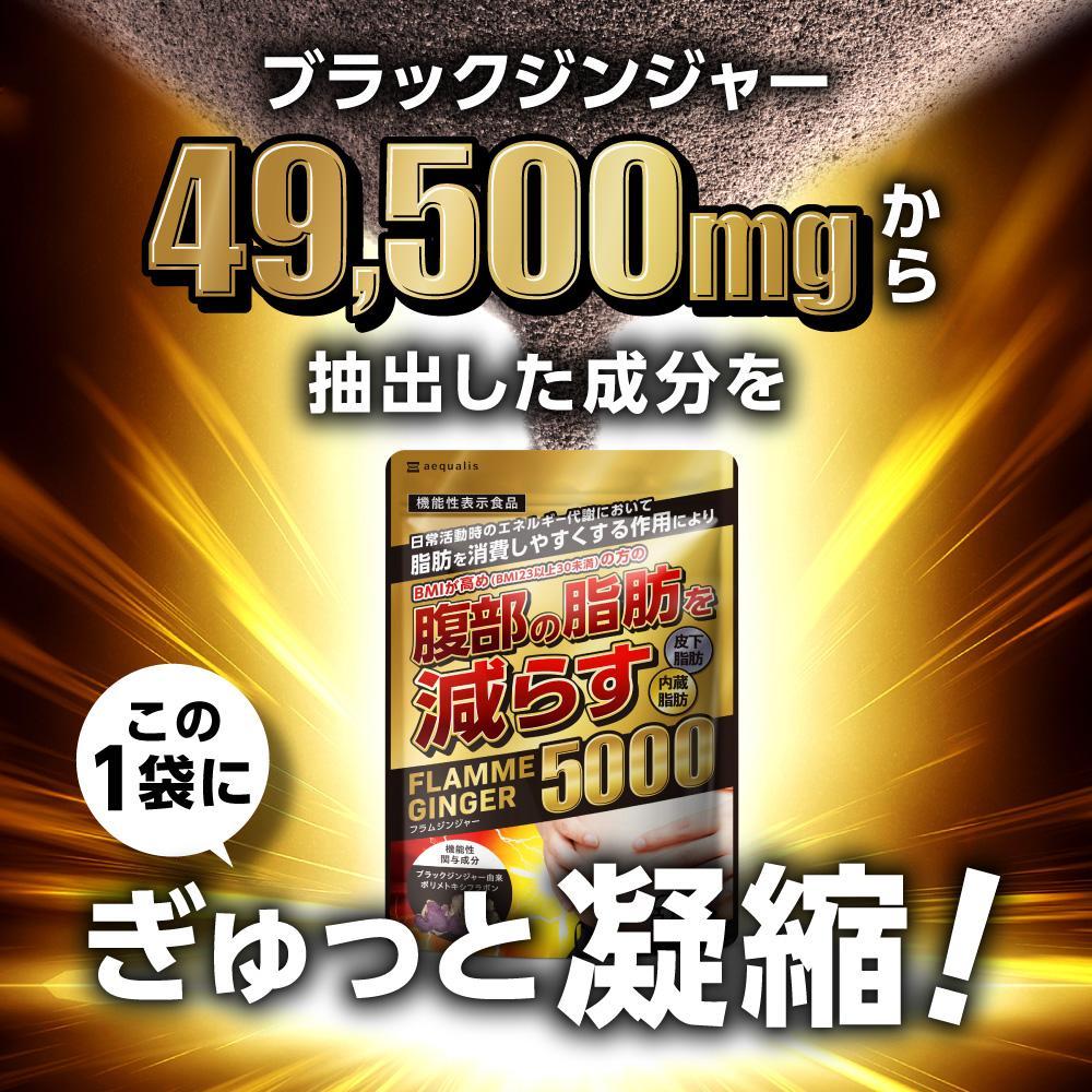 ブラックジンジャー サプリメント フラムジンジャー 機能性表示食品 30日分