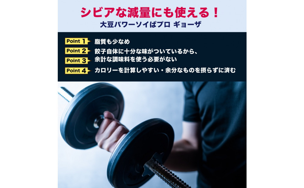 大豆パワー ソイプロギョーザ 90個(30個入×3袋)