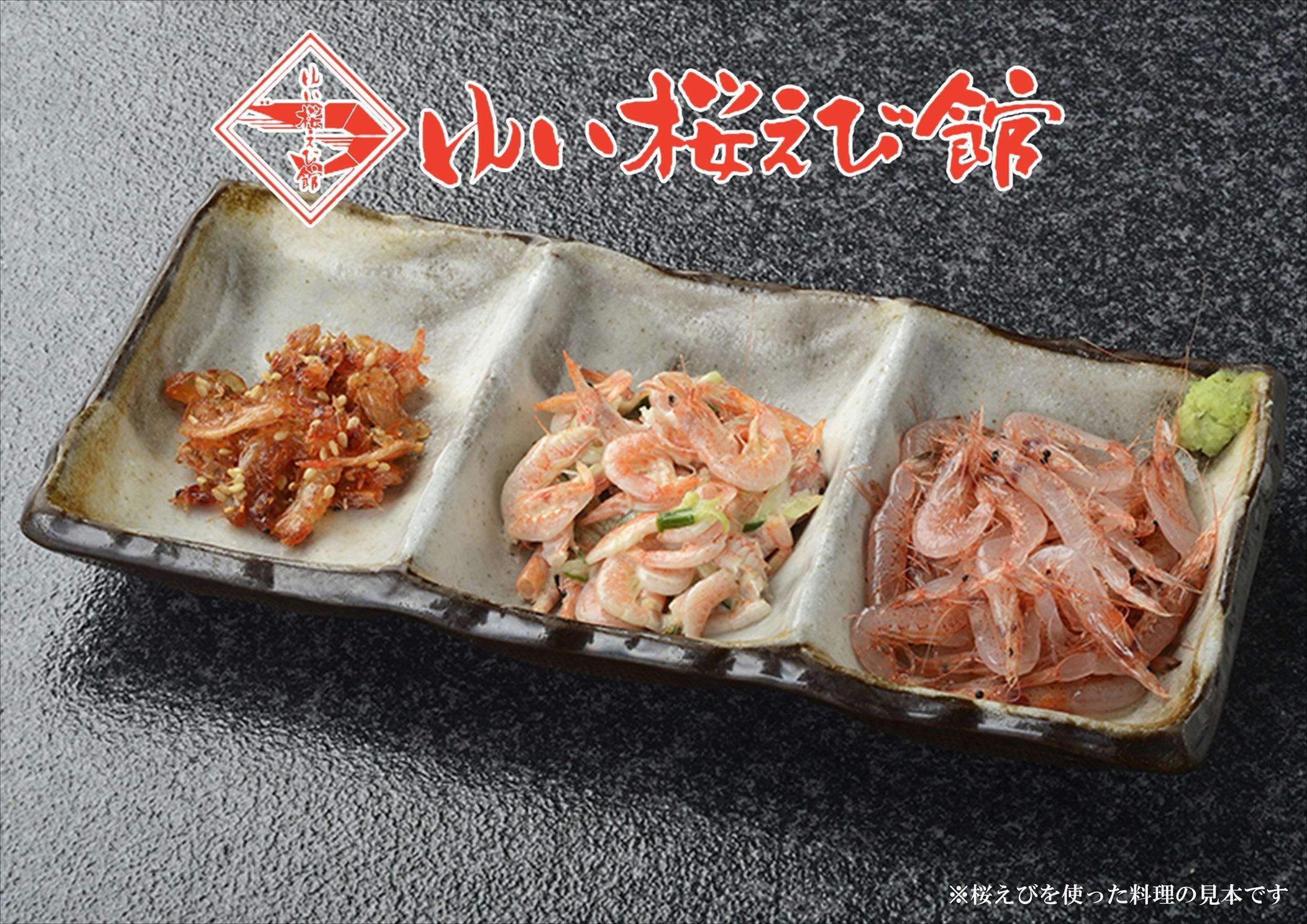 静岡特産 駿河湾産 生桜えび 100g×3（海の幸、海鮮、海産物、魚介類