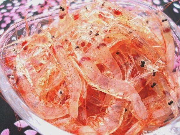 ＜原藤商店＞由比港産　生桜えび95g＆釜あげ桜えび80g