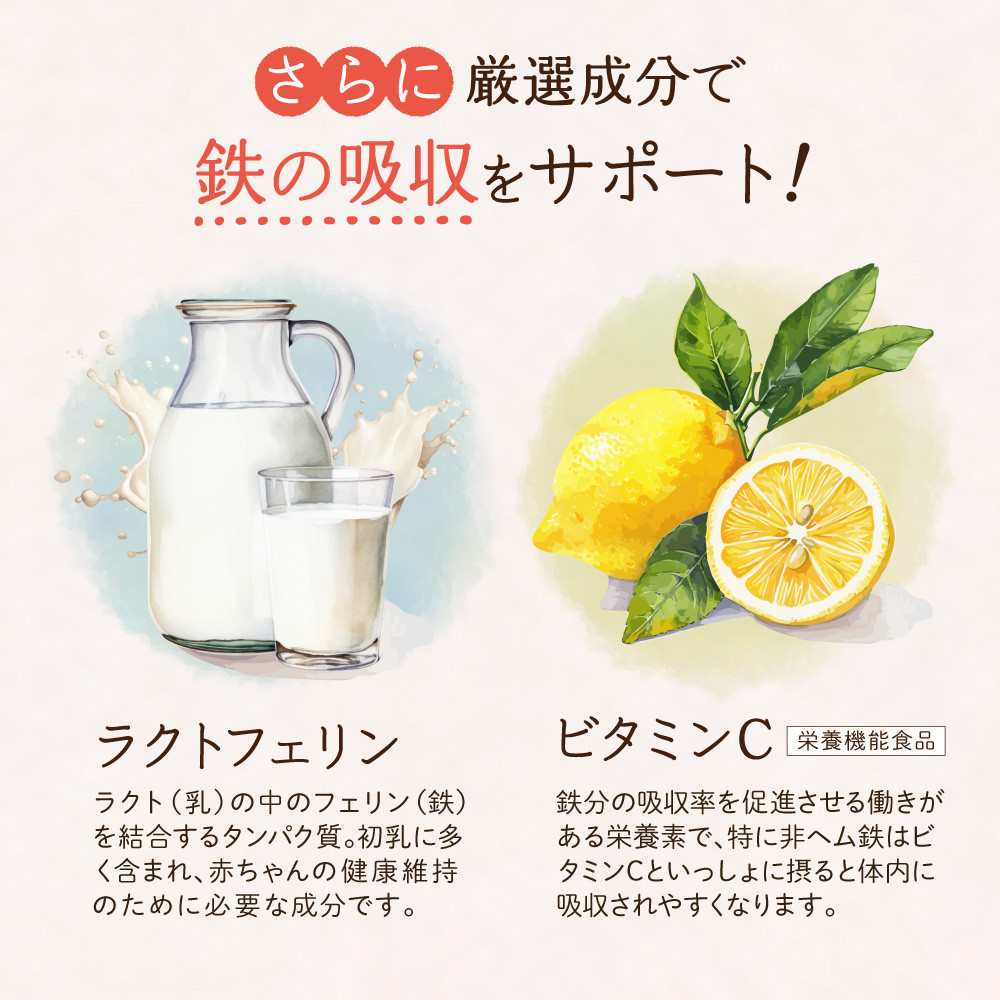 鉄分 サプリ ルミエル 鉄 10mg フェリチン鉄 ヘム鉄 葉酸 栄養機能食品 30粒入り 30日分