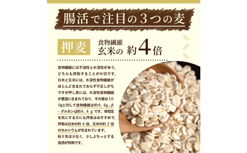 éºŠã®æµã¿24ç©ç±³ãã¬ã³ã 8kg(800gÃ10è¢)