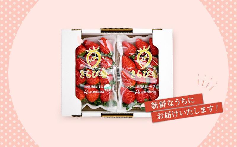 いちご キラっと輝くいちご きらぴ香 6箱 12パック 果物 イチゴ 苺 国産 ギフト 贈答品 お祝い プレゼント フルーツ くだもの