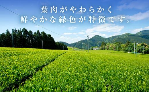 【訳あり】本山茶（ほんやまちゃ）200ｇ× 2本★★