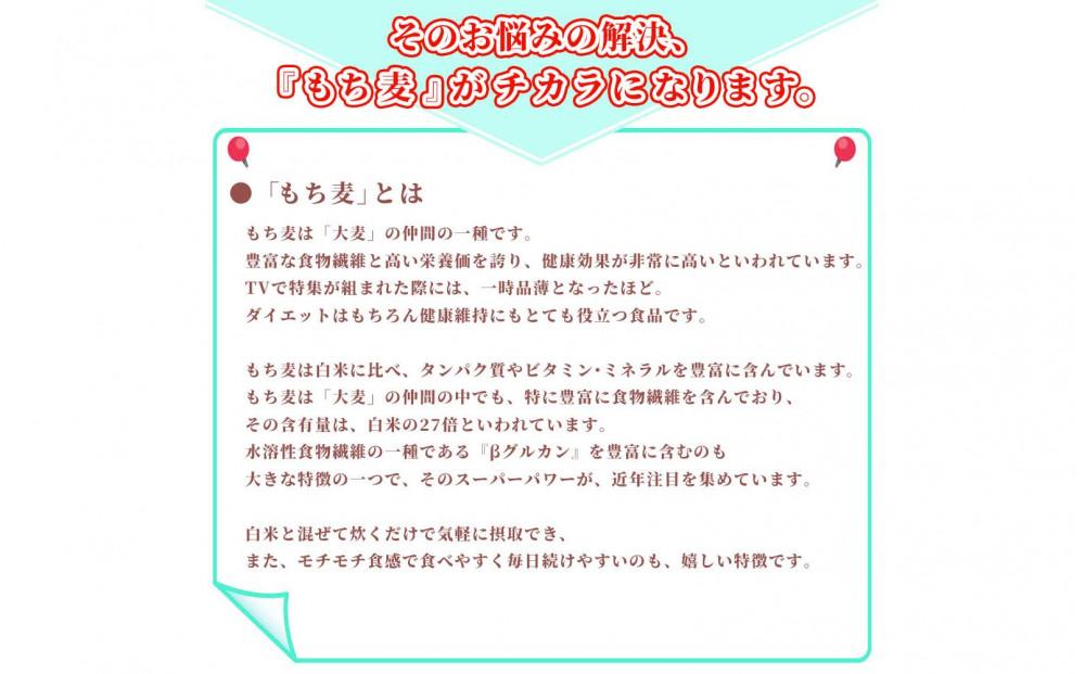 もち麦 4.0kg(400g×10袋)