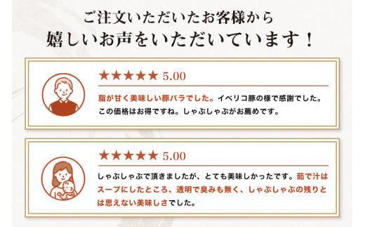 【12月26日決済分まで年内発送】静岡県産ふじのくにバラしゃぶしゃぶ用500g【配送不可：離島】★★年内配送 年内発送 豚 バラ しゃぶしゃぶ 大容量 国産 希少 豚肉　冷凍   静岡県産