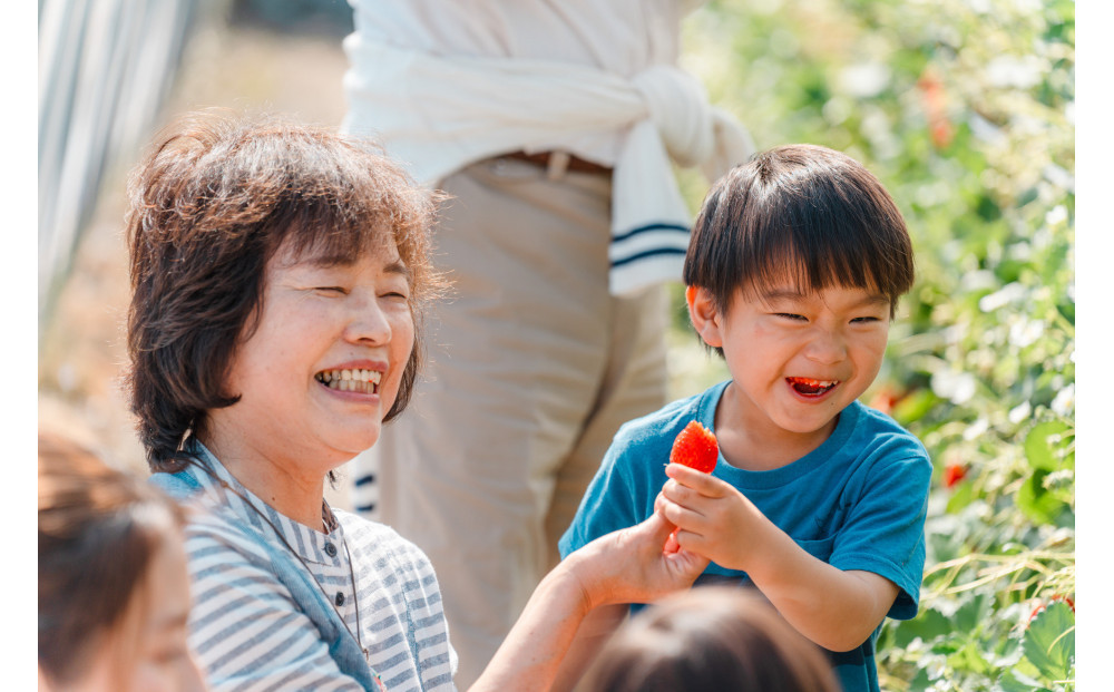 ã2026幎1æããé æ¬¡çºéãé岡ç¹ç£ã»ç³å£èºã2Lïœ4Lããã¯ã¹ çŽ280gÃ2ããã¯â
çŽ
ã»ã£ãº