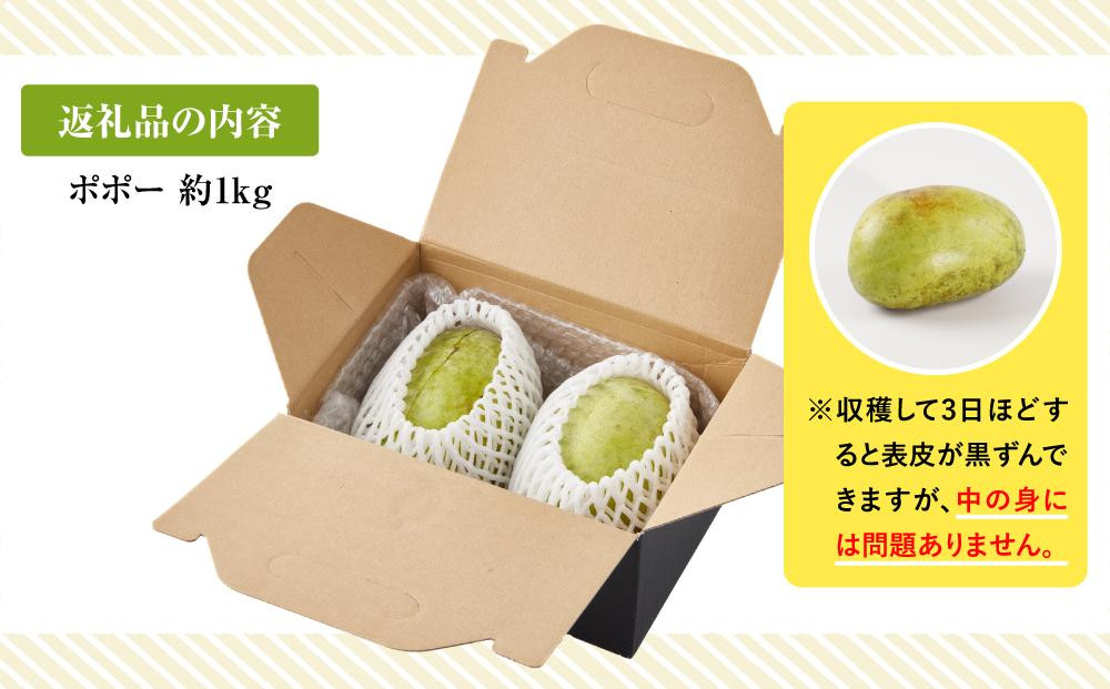 【2026年9月中旬頃より発送 受付締切9月20日】ポポー 約1kg【受取日事前打合せ可能な方限定】【配送不可：離島】幻の果実 レア フルーツ ポポー 健康 美容 美肌 ファーム池の沢 静岡市◇